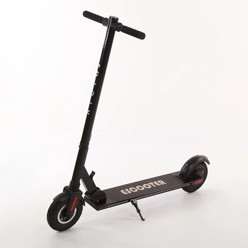 Electric Scooter with Two Suspension 800W Foldable Electric Scooter