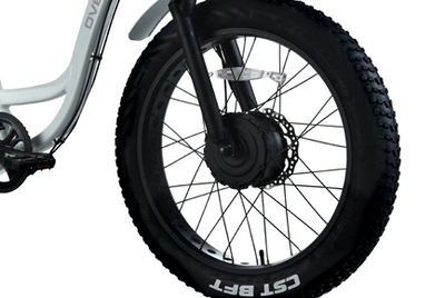 Tri-Cargo 48V 500W Hub Motor Electric Cargo Bike