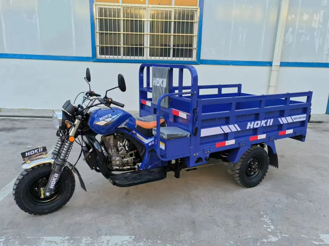 250cc Gasoline Tricycle Cargo Petrol Engine Hot Sale 2023 New Design Heavy Load Triciclo with Booster Axle for Sale