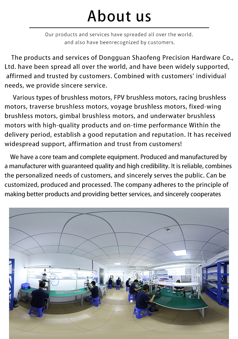 High Performance Carton Industrial Lyhm China Drone Uav Brushless DC Motor Moto