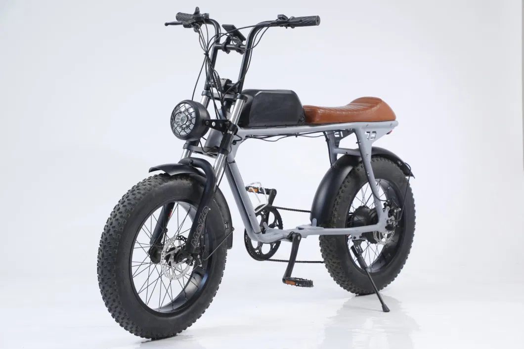 Dirt Ebike off Road Electric Bicycle Hot Sale