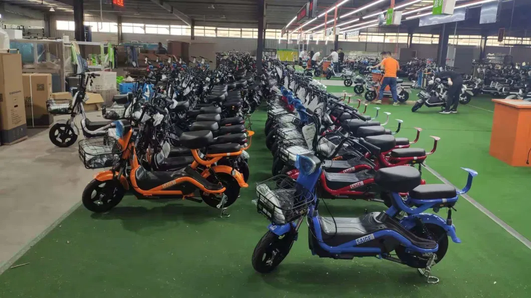 Saige China Factory Direct Sell Cheaper Electric Bike with EEC Coc