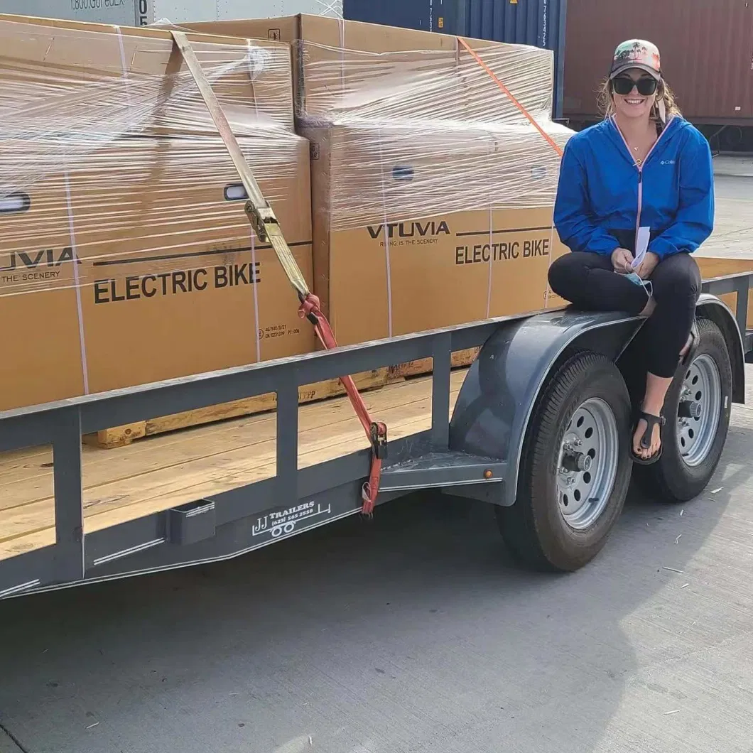 Vtuvia New Design Cargo Electric Bike 750W Rear Motor Delivery Ebike