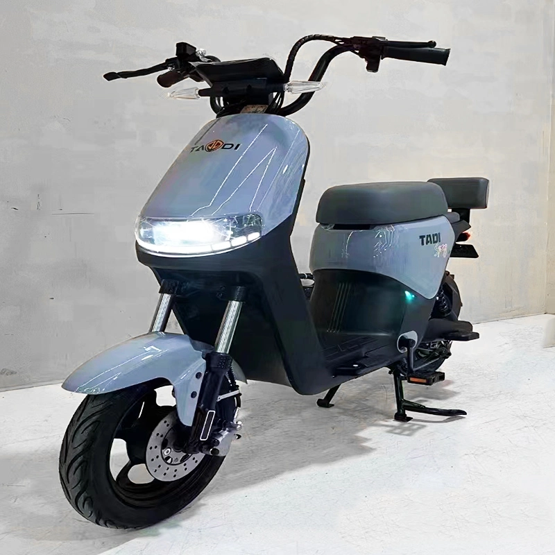 Powerful Electric Bicycle Motorcycle for Adults