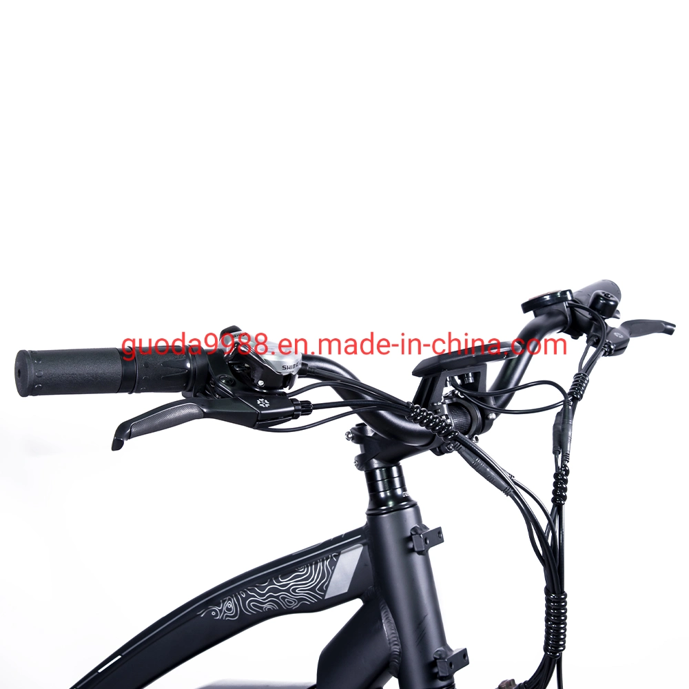 China Whole Sale Electric Fat Bike Snow Bicycle E-Bike
