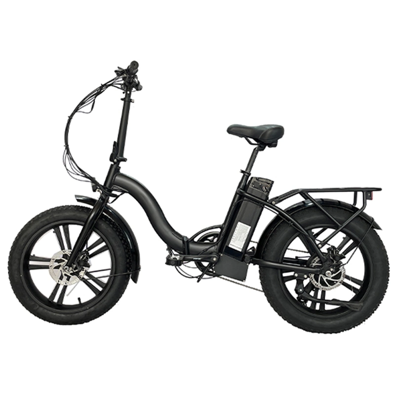 36V350W Brushless Rear Motor Lightweight Electric Bike Electric Motorbike