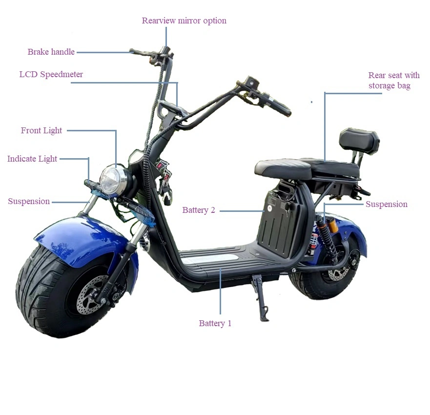 Hot Sale EEC 2000W Patinete Eletrico 2 Fat Tire Electric Motorcycle Citycoco Scooter