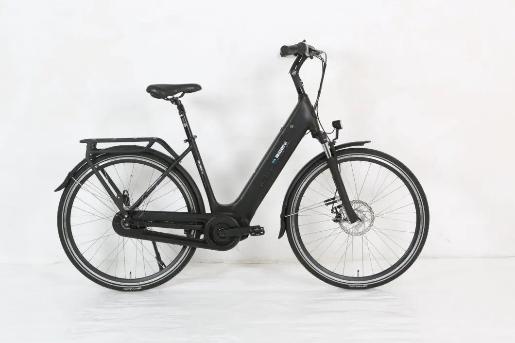 China Made Black Electric Bicycle 250W City Bicycle