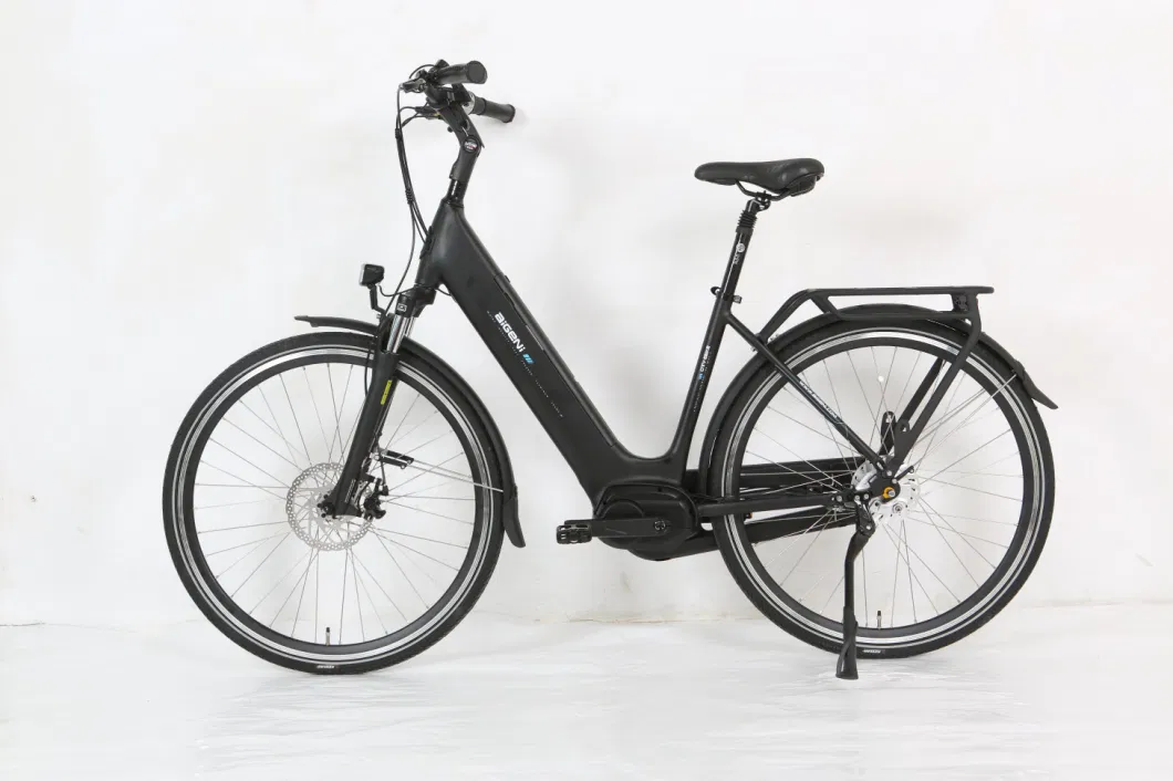 China Made Black Electric Bicycle 250W City Bicycle