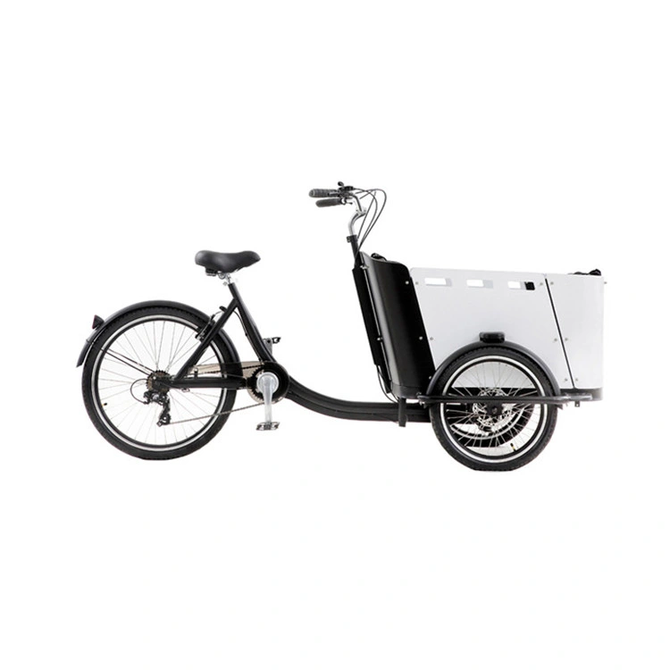 3 Wheels Electric and Pedal Type Cargo Bicycle for Kids