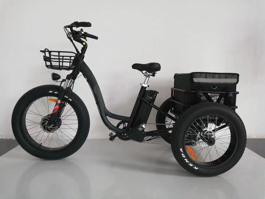 48V 500W Motorized Tricycles Adults Tricycle Adult Electrique 7-Speed