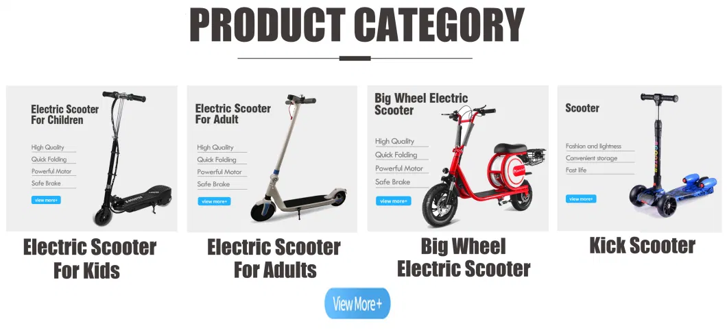 Fast Fat Tire off Road Big Wheel Folding Electric Scooter Electric Bike