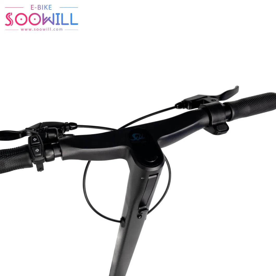 China Good Soowill Delivery Electric City Bike 48V 13.5ah (Chinese Lithium Battery/4500mAh) Electric Scooter