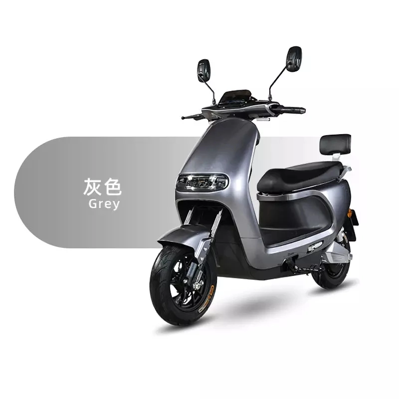 Cheap Long Range off-Road Scooter 48V 800W China Best Selling Adult Electric Motorcycle