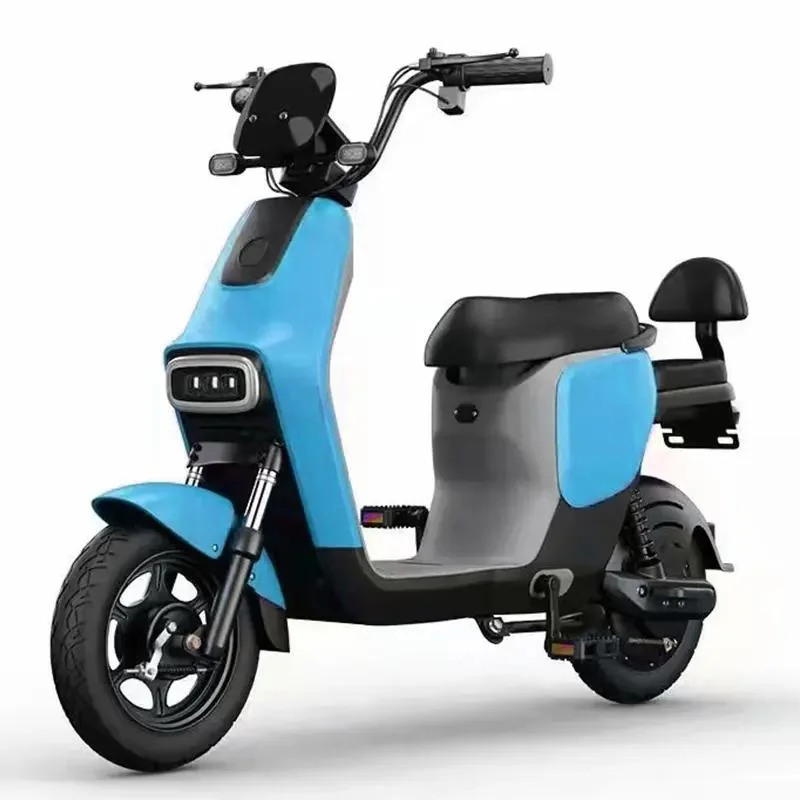 Tjhm-010dd Electric Vehicle 48V Bicycle Adult Male and Female Battery Car with Pedal Can Be Labeled E-Scooters E-Bike for Adult