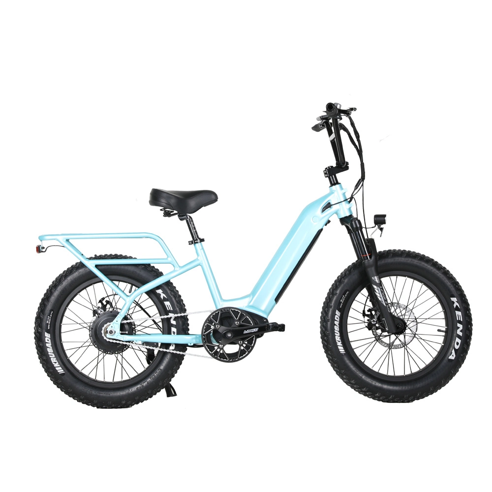 New Design 20 Inch 350W/500W/750W Step Through Mini Electric Bike with Single Speed