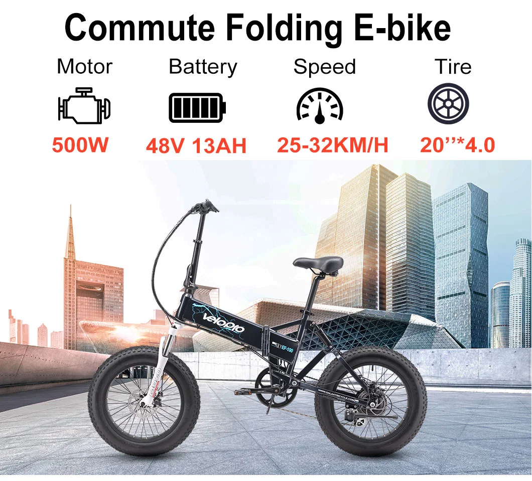 Portable 20inch Electric Mini Bike