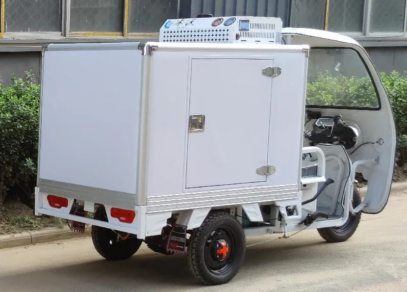 Three Wheel Refrigerated Motorcycle Tuk Boda Bike in Africa Motorcycle Tricycle Auto Rickshaw E-Tricycle Refrigerated Truck Food Transport