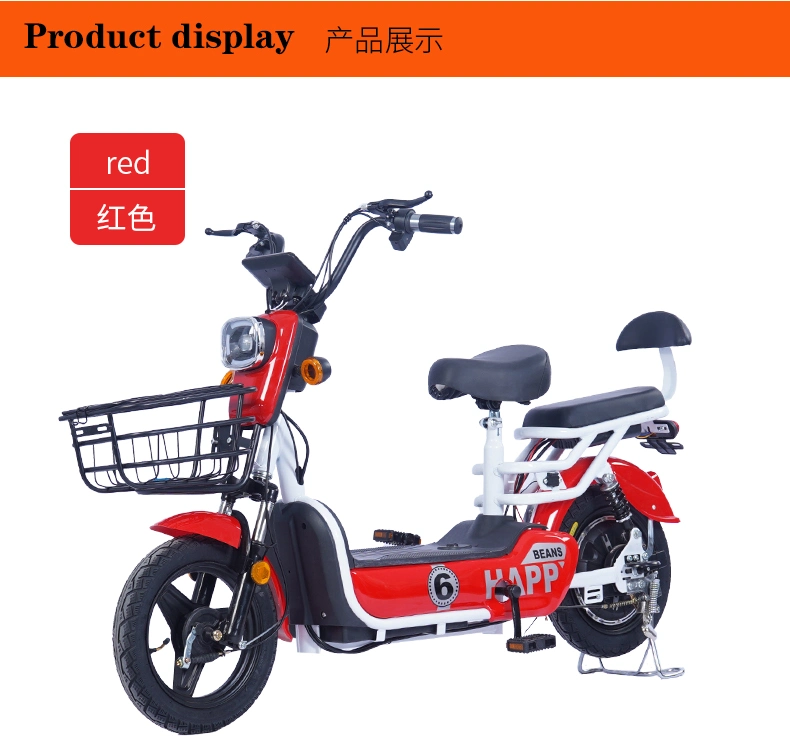 350W Brushless Motor Steel Vacuum Tire Buy a Electric Bicycle