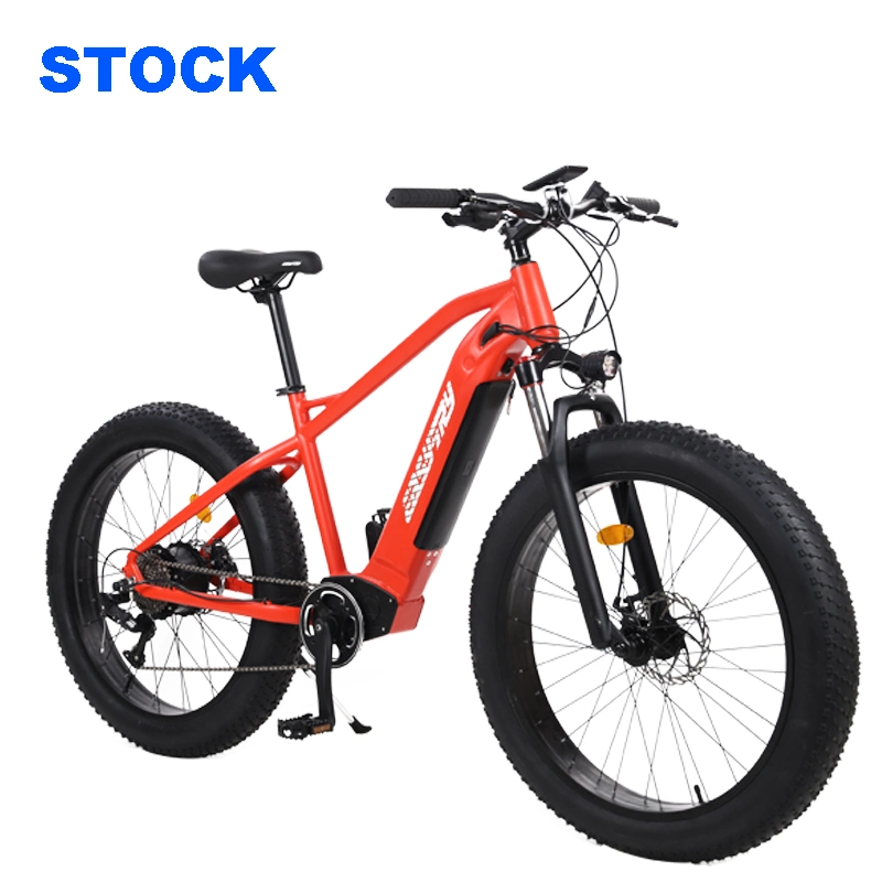 Easy-Try Custom Cheaper Bicycle 500W Electric Cycle Hidden Battery MTB Ebike