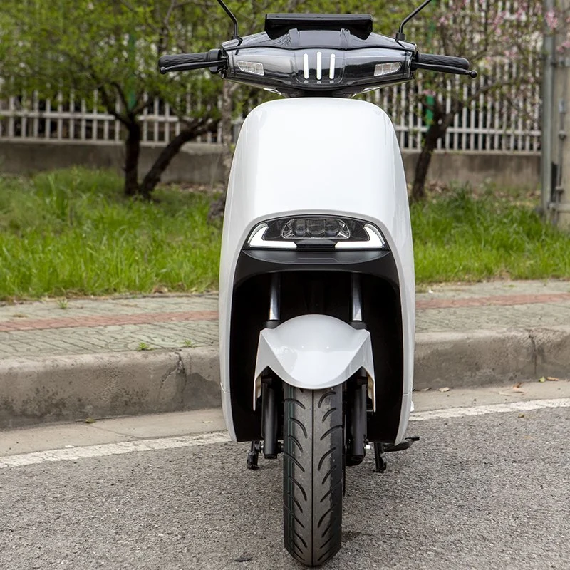 Hot Sell High Quality and Powerful Electric Electric Motorcycle (EM-020)