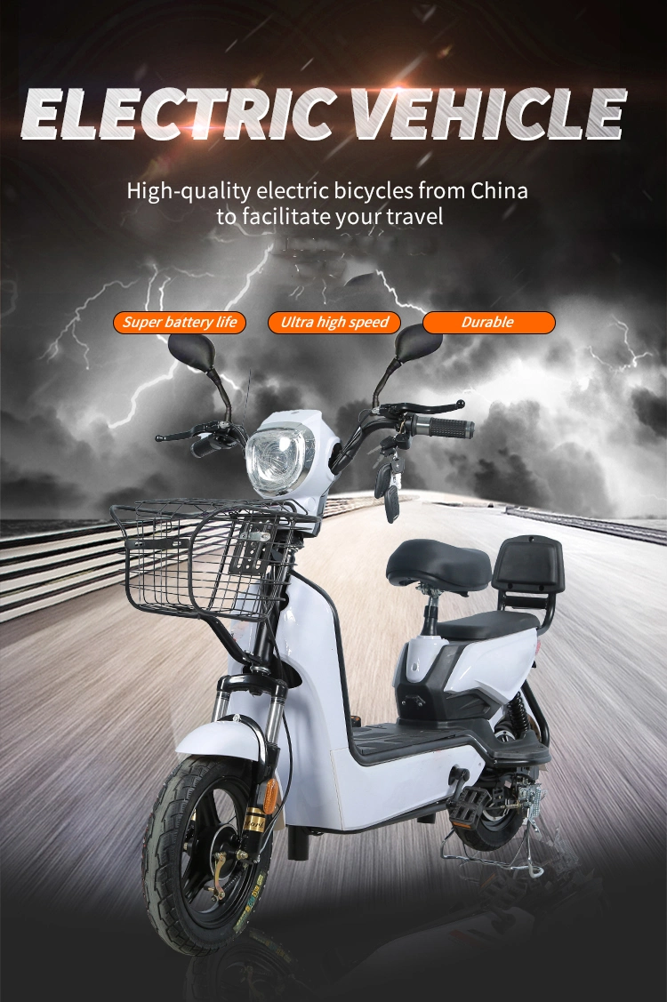 Tjhm-007ss Electric Tricycles Bicycle Scooter Electric Adult Ebike Electric Bike Electric Bike Electric Electric Dirt Bike