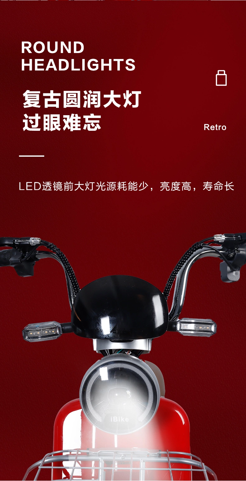 48V20ah Electric Scooter Electric Bicycle Electric Moped