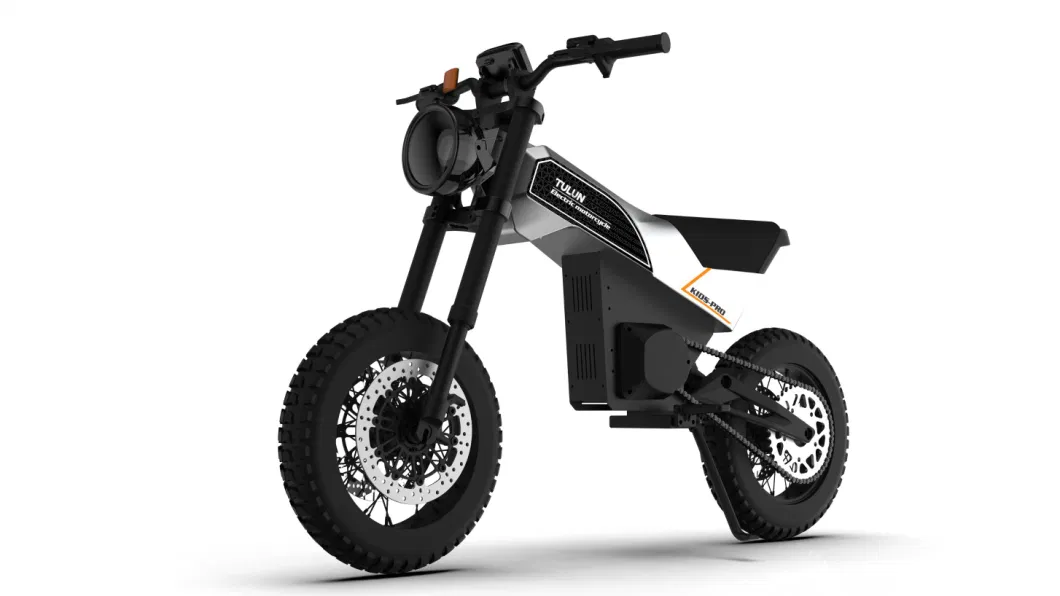 Non Welded Frame Transformable Electrical Motorcycle Electric Dirt Bike 1000W 48V20ah off-Road for Kids Electric Cycle