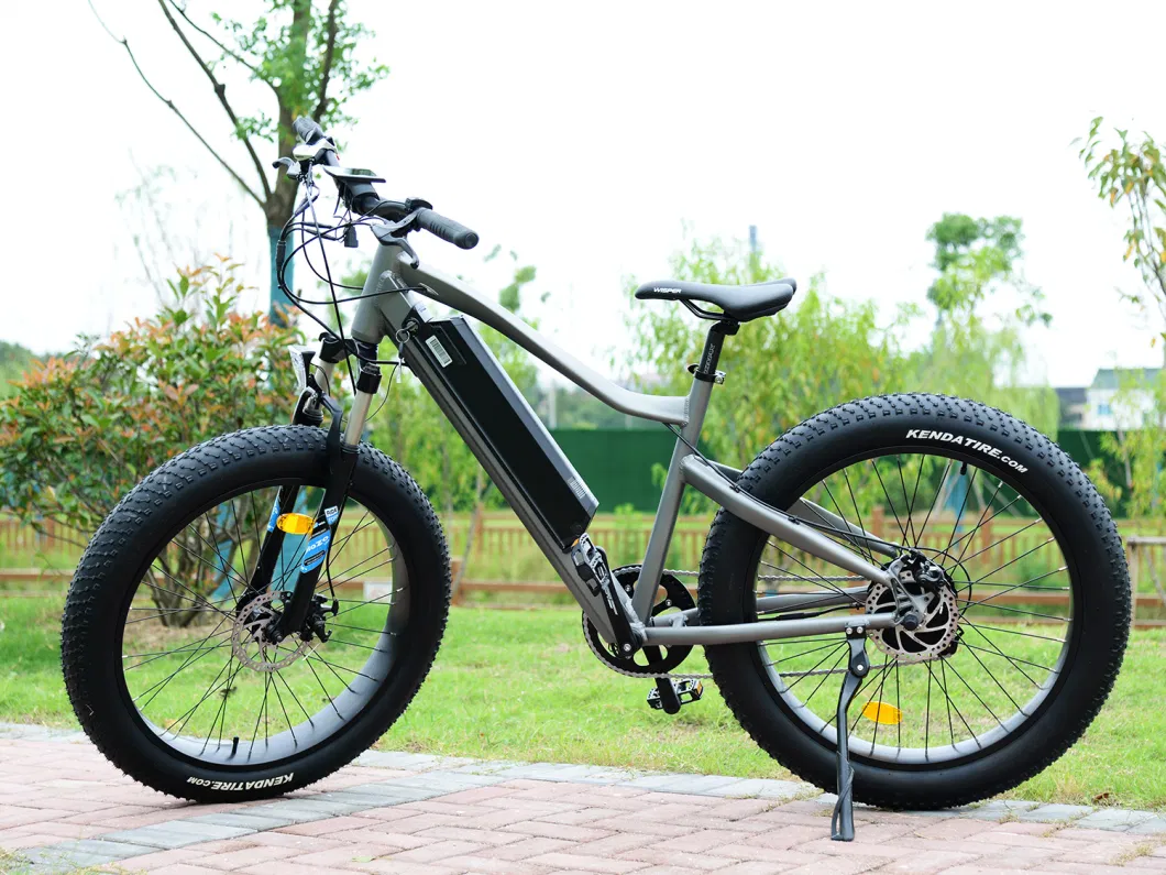 2023 Popular Hot Sale Electric Bike 48V 500W Fat Tire Electric Bicycle