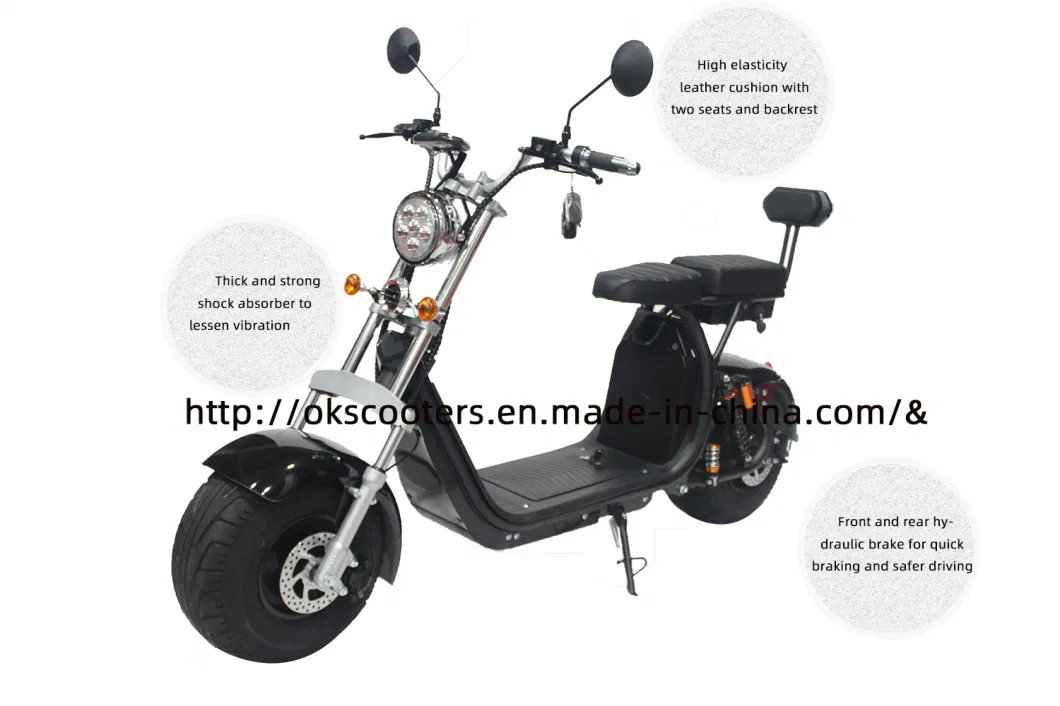 Manufacturer Motorized Bicycle Electric Motor for Bicycle 1500W Lithium Battery