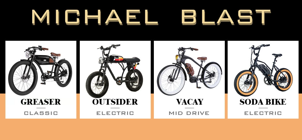 Hybrid Cruiser Mini Pedal Assisted Pedelac Electric Bike