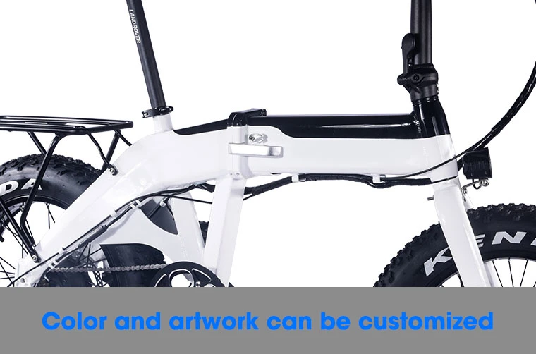 Brushless 20inch Folding Dirt Bicycle Cycle E Electric Bike 750W E-Bike ODM