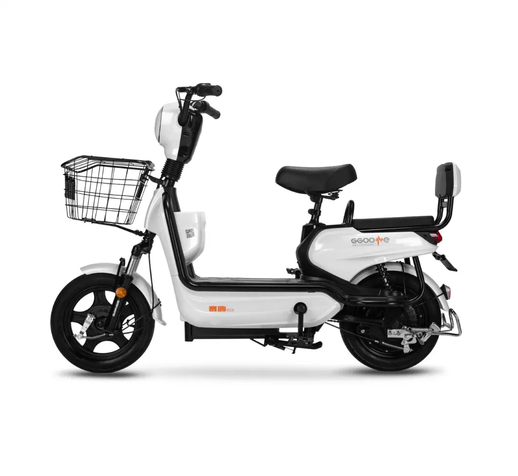 Saige China Factory Direct Sell Cheaper Electric Bike with EEC Coc