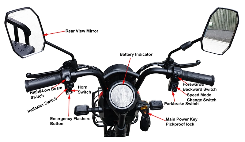 3 Wheel E Bikes Mobility Tricycle for Seniors and Disabled