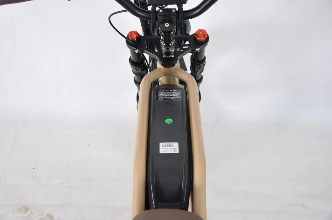 Model Super Performance 48V Green Power Hidden Battery Electric Bike Chinese