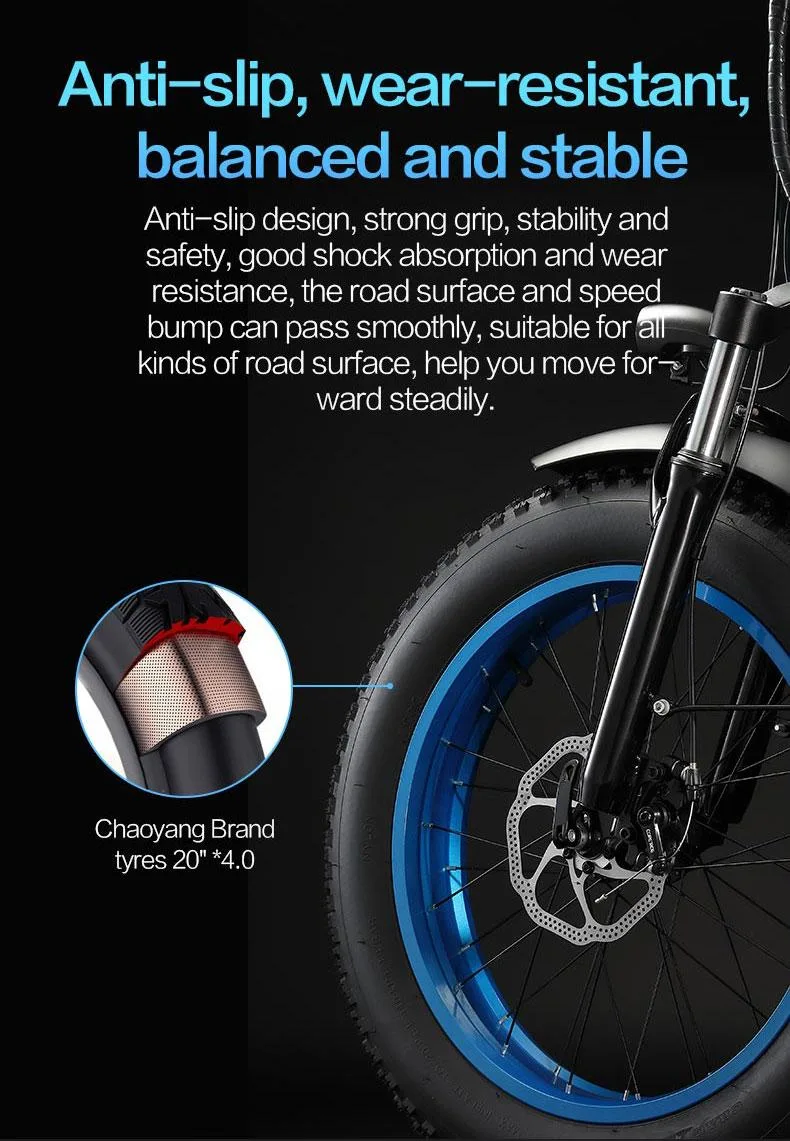Manufacturer Lithium Battery Foldable Ebike Electric Bike for Adults