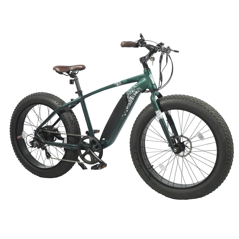 Brusshless Motor 60 Mph Electric Mountain Bike Chinese