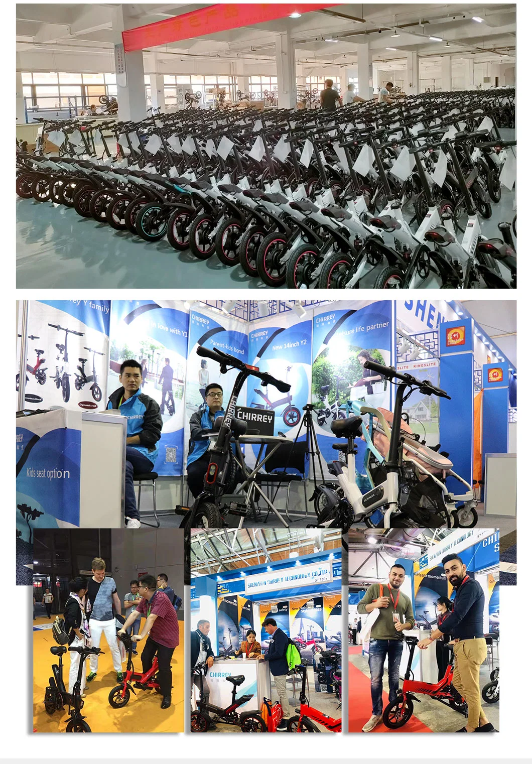 ODM/OEM for Women/Men 16ah Electric Bike Electric Folding Bike