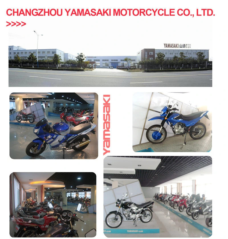 Three Wheelers Motorcycle Gas Bike Disabled Tricycle