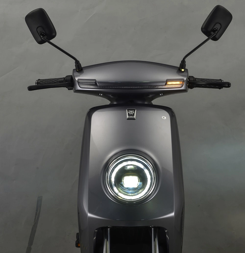 2021 New Design 48V20ah Lead-Acid Eletiric Mini Bike Electric Scooter