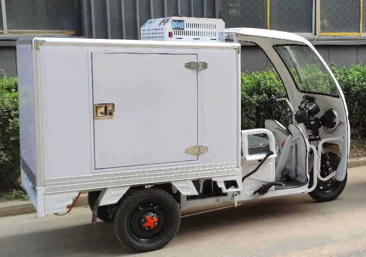 Three Wheel Refrigerated Motorcycle Tuk Boda Bike in Africa Motorcycle Tricycle Auto Rickshaw E-Tricycle Refrigerated Truck Food Transport