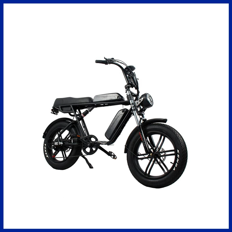 36V/10.4ah Samsung Lithium Battery 350W 6/7 Speed Fashion Motorized Bicycle Electric Bike