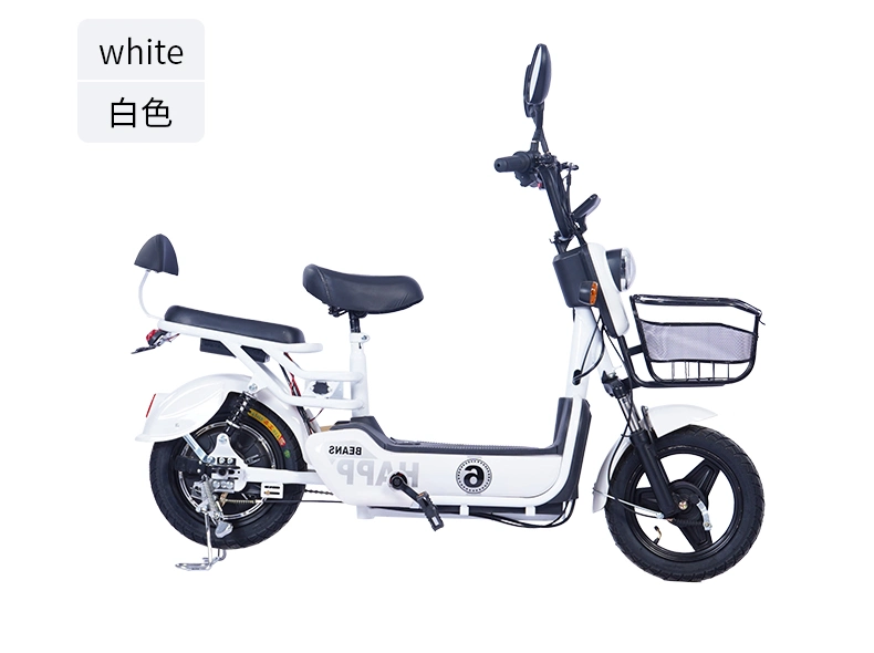 350W Brushless Motor Steel Vacuum Tire Buy a Electric Bicycle