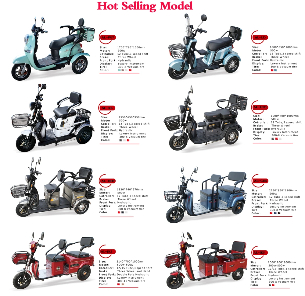 Newest Passenger Handicapped Adult Electric 3 Wheel Bicycle Three Electric Scooter Motor Trike Cargo Bike Motorcycle Scooter Tricycle Family