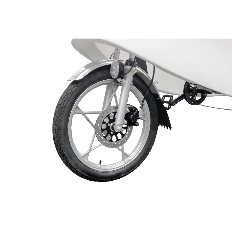 48V 1000W Motor Retro Tricycles 3 Wheel E-Bike Cargo Electric Pedicab