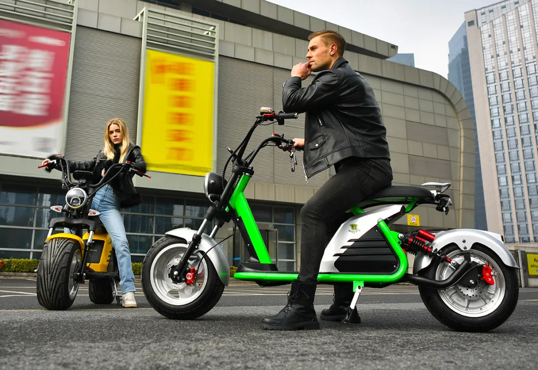 2000W/3000W 10inch/12inch Electric Citycoco Adult New Electric Scooter Motorcycle EEC