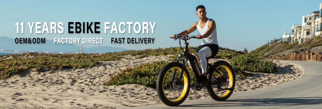 26inch Road Sport Fat Tire E Bicycle Electric Bike Supplier