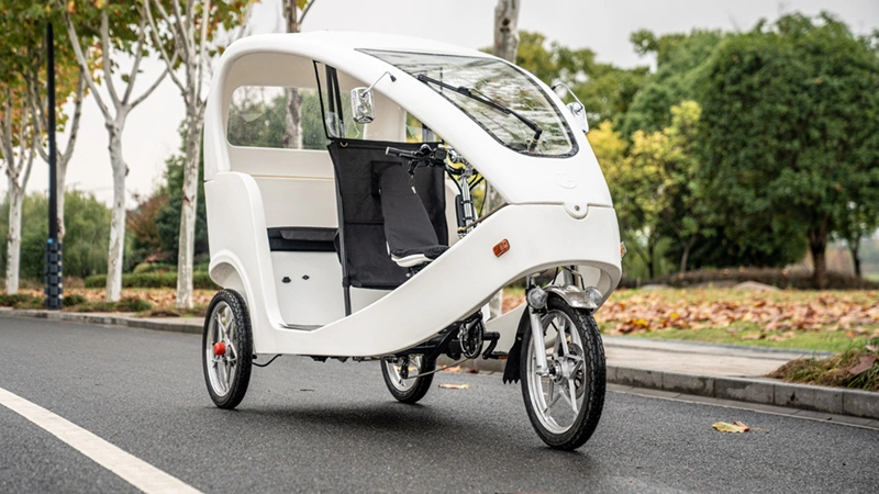 48V 1000W Motor Retro Tricycles 3 Wheel E-Bike Cargo Electric Pedicab
