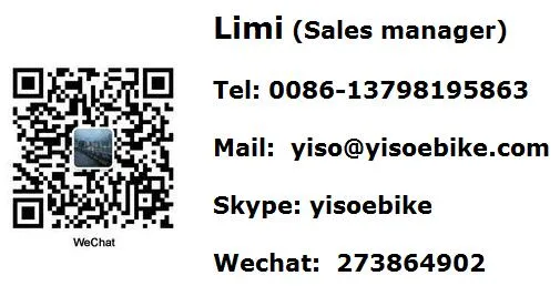 Hot-Selling Electric Bicycle China with Ce