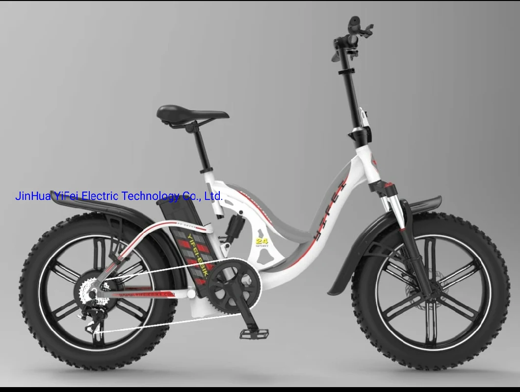 China E-Bike Factory Electric Bike 20&quot; Lady Mountain Bicycle Brushless Motor off Road Electric Ebike